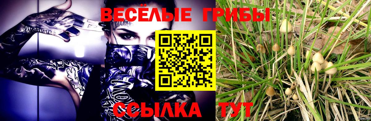 Псилоцибиновые грибы MAGIC MUSHROOMS  продажа наркотиков  Электрогорск  Вход с VPN 